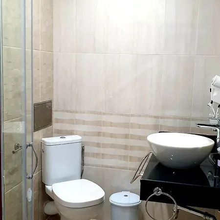 Family Serenity Palace فندق *